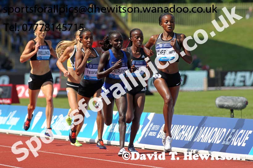 Womens 5000 metres, IAAF Diamond League, Birmingham. Photo: David T. Hewitson/Sports for All Pics